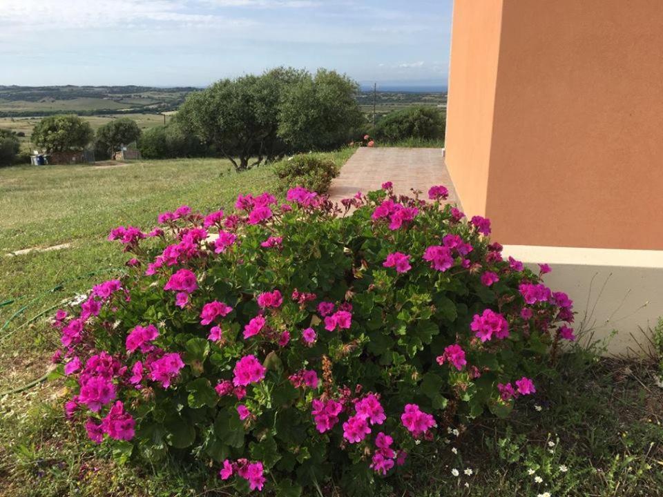 Agriturismo Gli Olivastri, Appartamento La Rosa Dei Venti Con Piscina E Solarium , Vista Mare ,Climatizzatore ,Wifi アリエントゥ エクステリア 写真