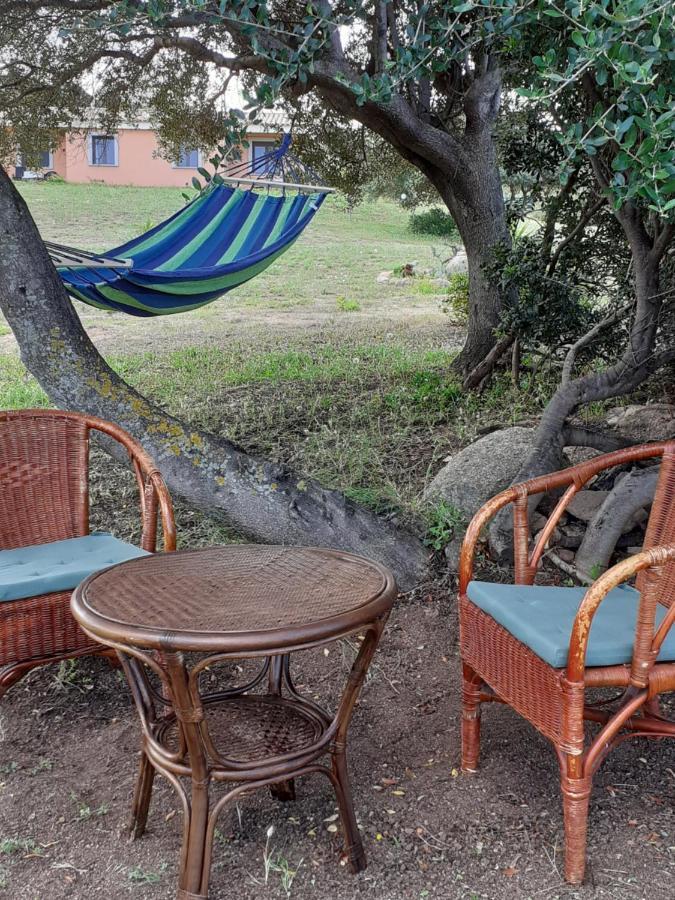 Agriturismo Gli Olivastri, Appartamento La Rosa Dei Venti Con Piscina E Solarium , Vista Mare ,Climatizzatore ,Wifi アリエントゥ エクステリア 写真