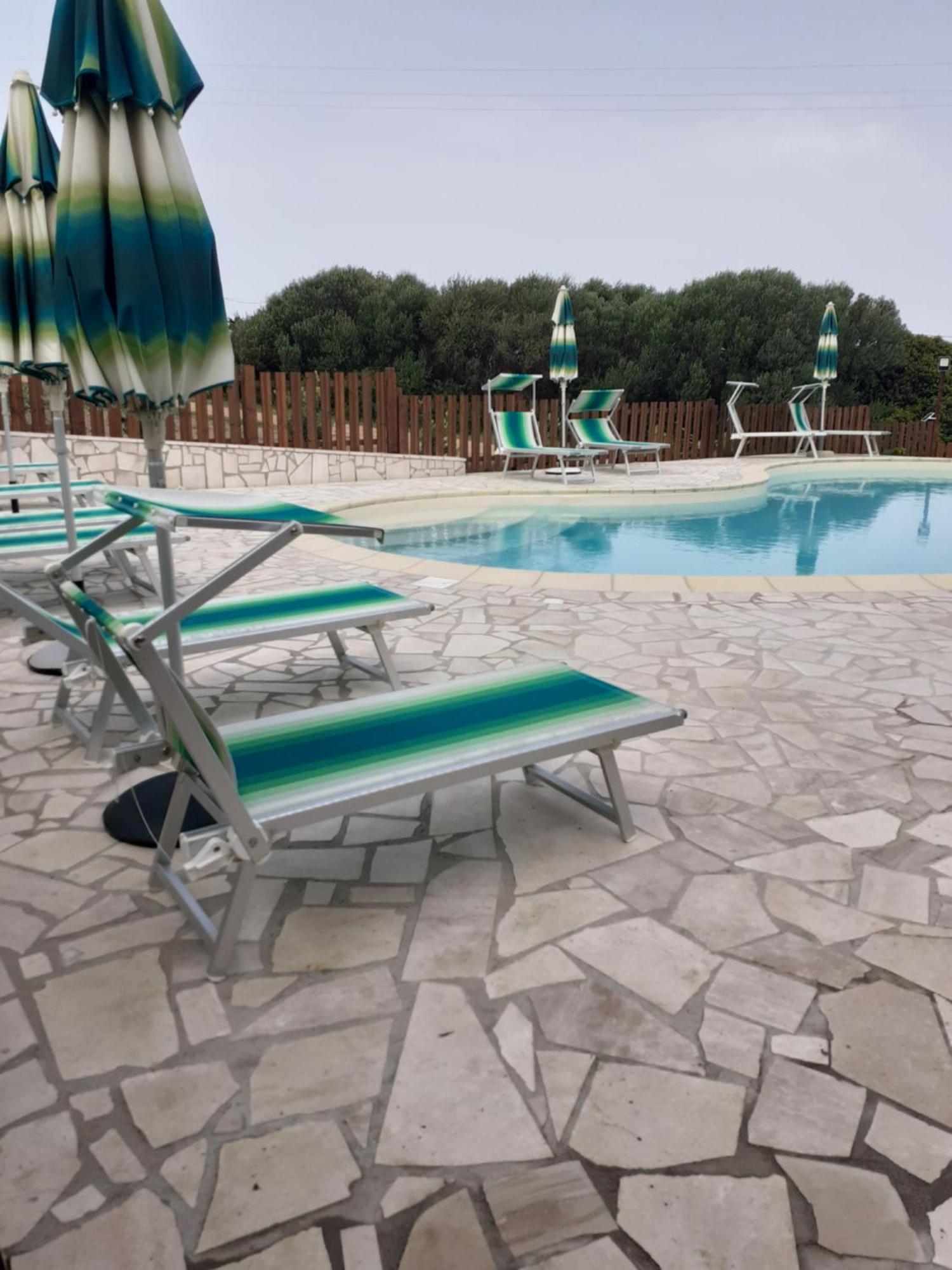 Agriturismo Gli Olivastri, Appartamento La Rosa Dei Venti Con Piscina E Solarium , Vista Mare ,Climatizzatore ,Wifi アリエントゥ エクステリア 写真
